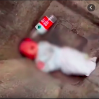 婴儿被弃垃圾桶 警方:因夫妻吵架   100GB国内流量包加速价格