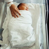 男子18万卖5个亲生孩子被判10年  CDN加速流量包1PB特价